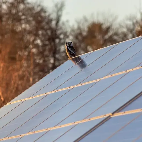 Na ile wystarczy magazyn energii 20 kWh?
